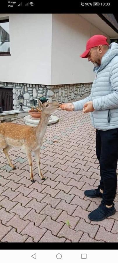 Agroturystyka Pod Lasem ポロニン エクステリア 写真