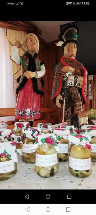 Agroturystyka Pod Lasem ポロニン エクステリア 写真